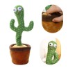 Cactus Bailarin y Repetidor de voz  – Dancing Cactus